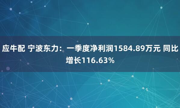 应牛配 宁波东力：一季度净利润1584.89万元 同比增长116.63%