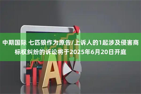 中期国际 七匹狼作为原告/上诉人的1起涉及侵害商标权纠纷的诉讼将于2025年6月20日开庭