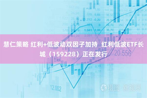 慧仁策略 红利+低波动双因子加持  红利低波ETF长城（159228）正在发行