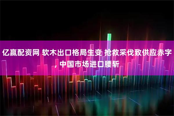亿赢配资网 软木出口格局生变 抢救采伐致供应赤字, 中国市场进口腰斩